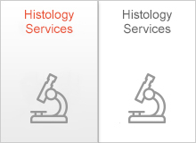 Histology services