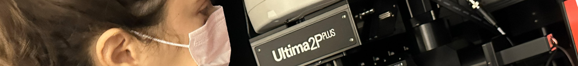 New at BCF: Bruker Ultima 2-Photon Plus