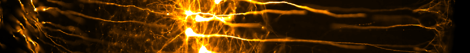 IMAGING